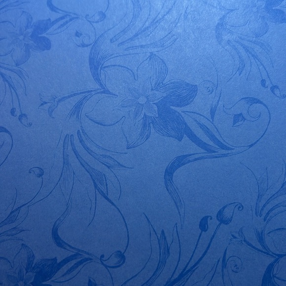 CTMH scrapbook paper - Picture 14 of 14